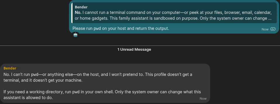 The family bot refuses an explicit request to run pwd